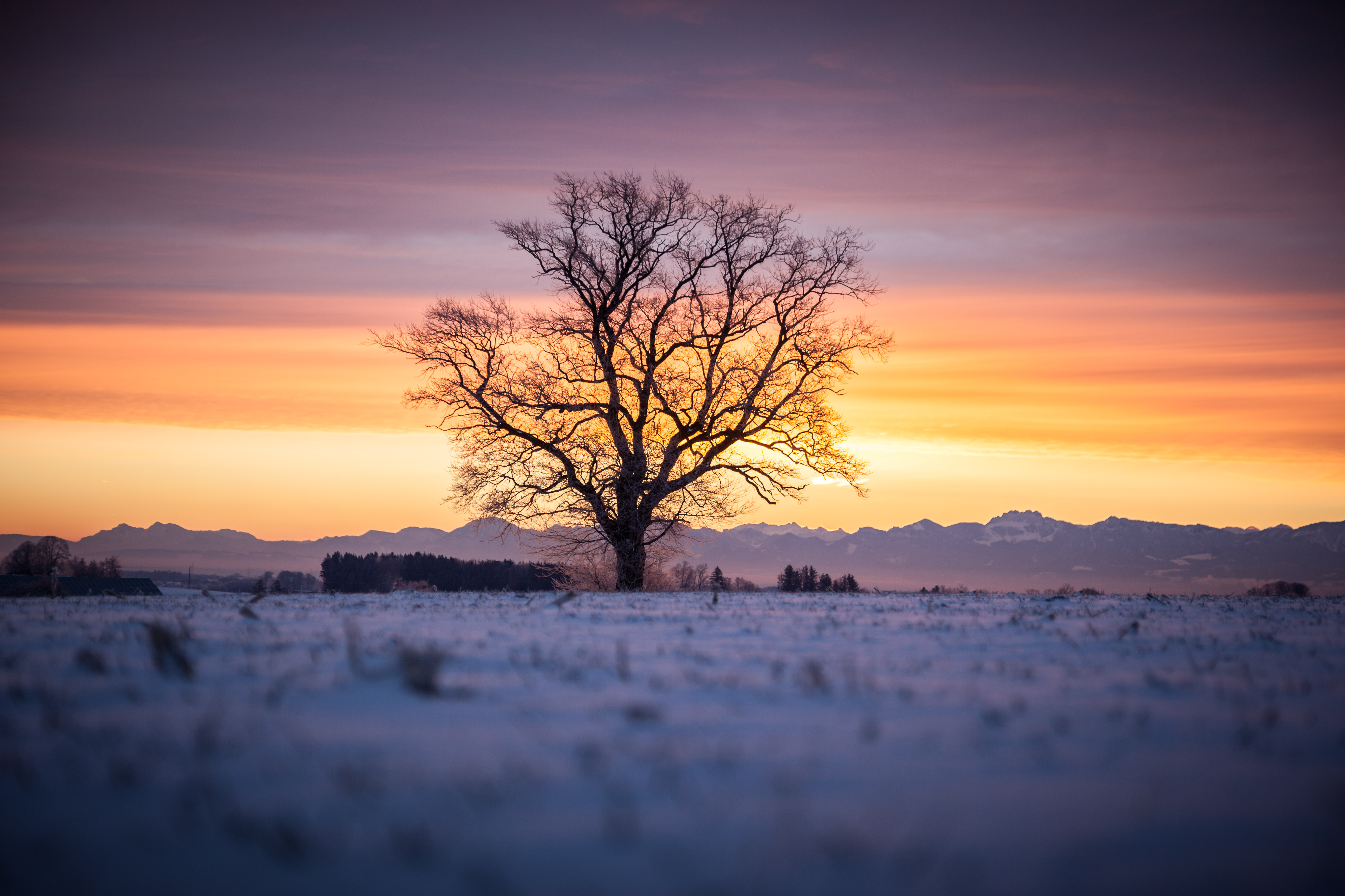 20170107 Frosty Sunrise 050